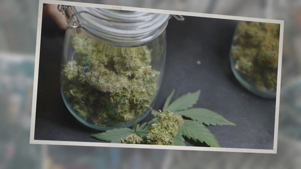 'Video thumbnail for How To Become A Medical Marijuana Doctor? The Hemp Doctor Trend'