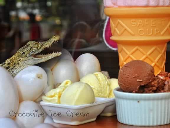 Want a taste of Crocodile Ice Cream?