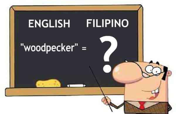 6 English Words You Didn’t Know Have Filipino Translations