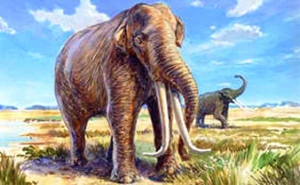 7 Prehistoric Animals You Didn’t Know Once Roamed The Philippines