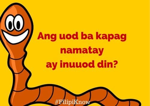 Ang uod ba kapag namatay ay inuuod din 11 Serious Answers To Mind-Blowing Pinoy Questions
