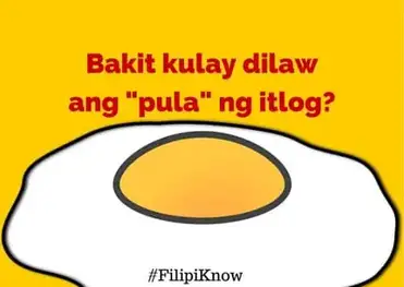 11 Serious Answers To Mind Blowing Pinoy Questions