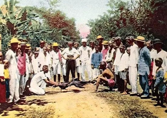Cockfighting 19th century Philippines
