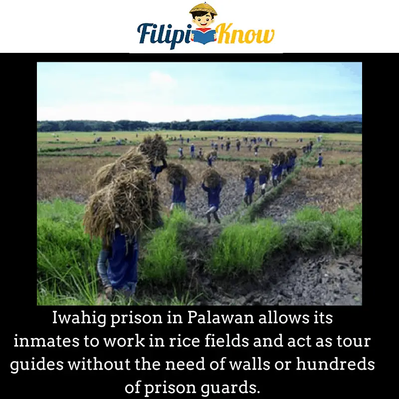 Iwahig Prison and Penal Farm in Puerto Princesa, Palawan