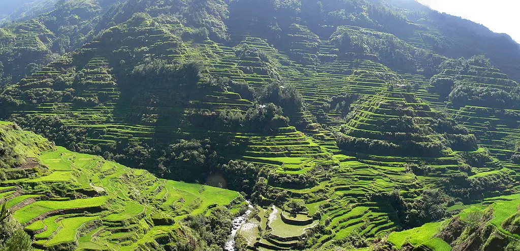 banaue rice terraces photo