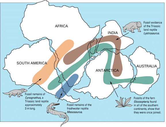 fossil map showing continents were once connected