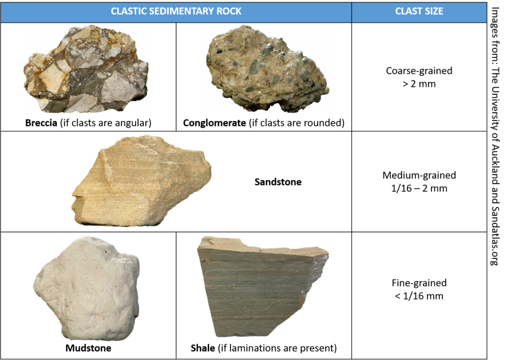 Organic Sedimentary Rocks Examples