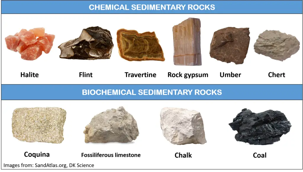 examples of non-clastic sedimentary rocks