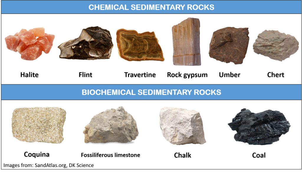 Non Clastic Sedimentary Rocks Examples