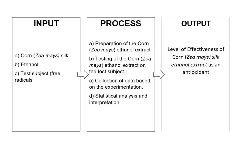 output in research conceptual framework