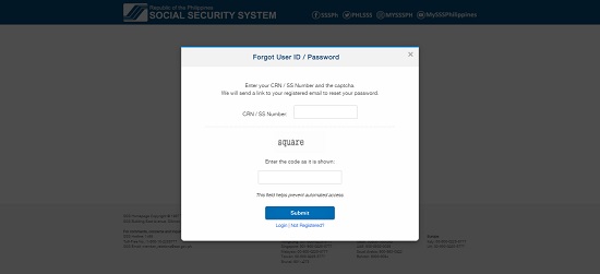 How To Reset Password in SSS: An Ultimate Guide - FilipiKnow