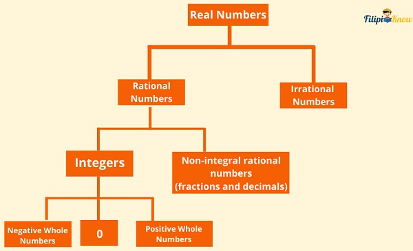 real and imaginary numbers 5