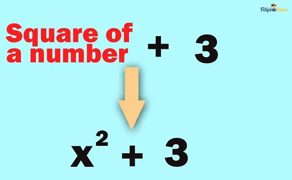 algebraic expressions 11