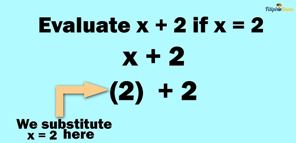 algebraic expressions 13