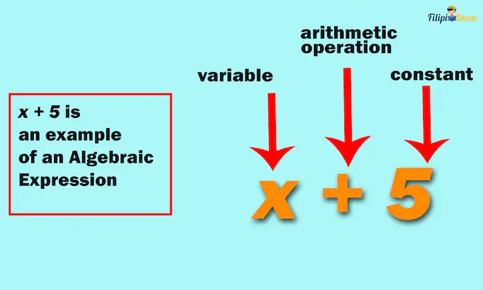 algebraic expressions 4