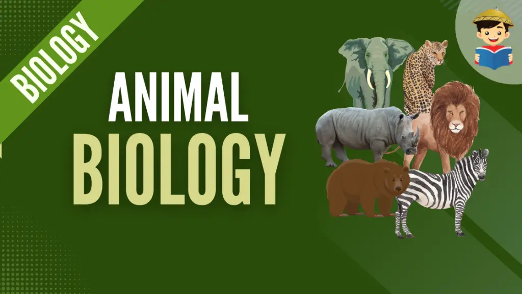 Animal Form and Functions