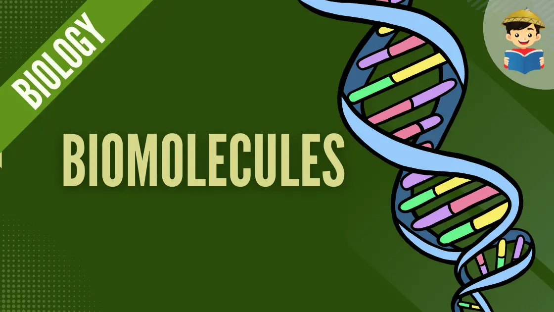 Biomolecules Class 12 Chemistry Important Questions