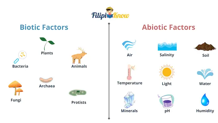 What Are 10 Abiotic Factors In The Savanna