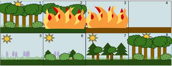 introduction to ecology 30