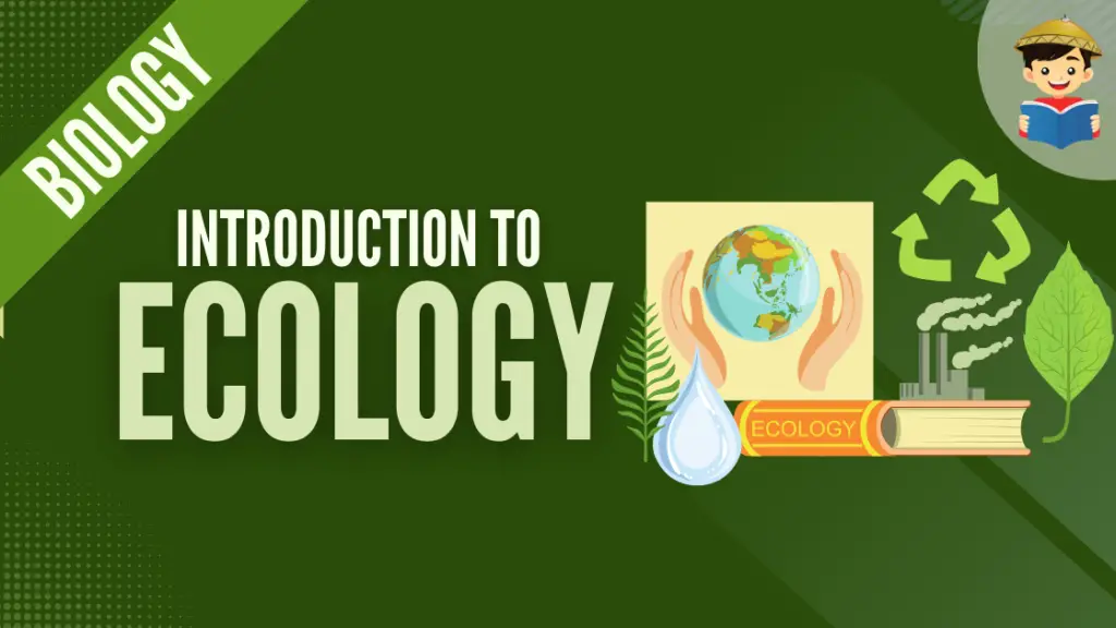 introduction to ecology featured image