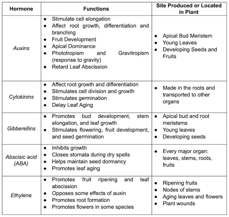 List Of Plant Hormones And Their Functions Class 10