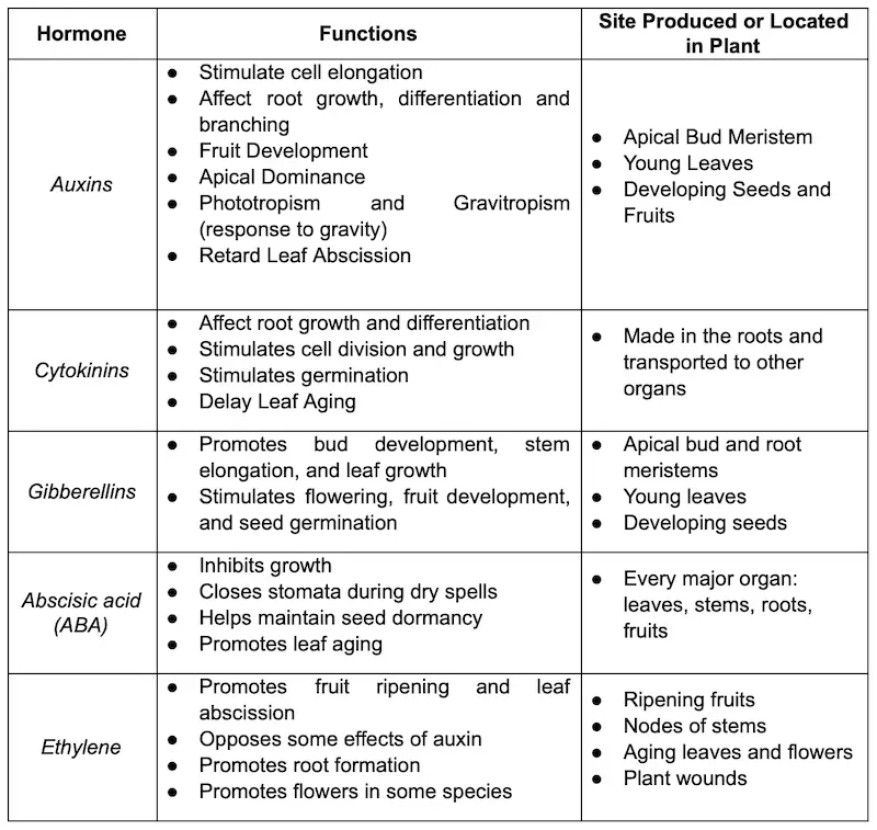 plant biology 23