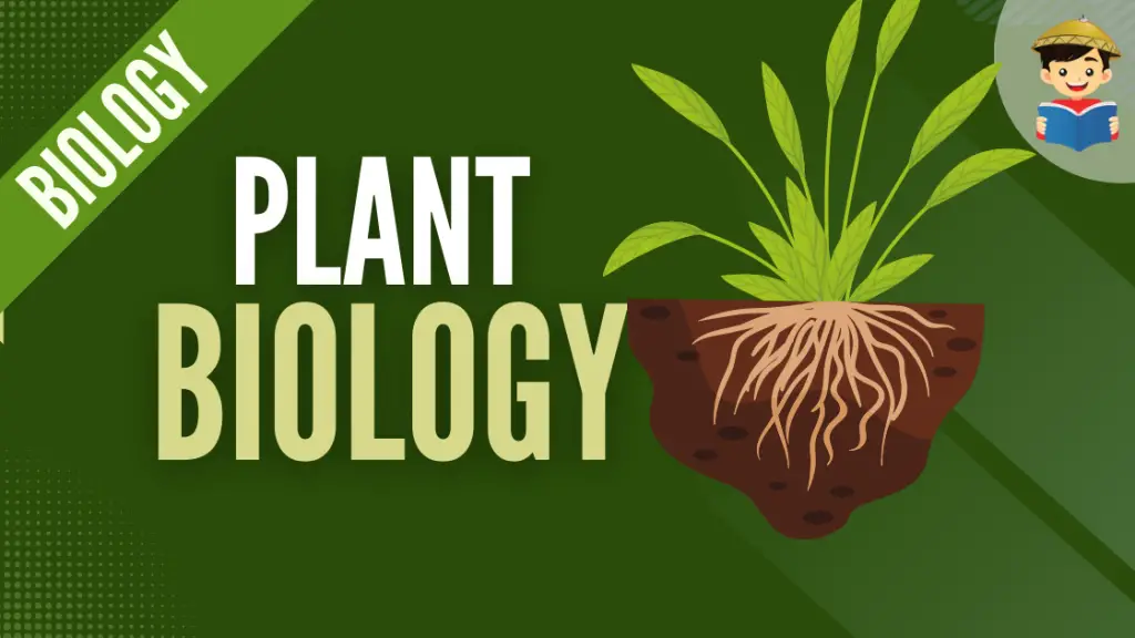 plant biology featured image