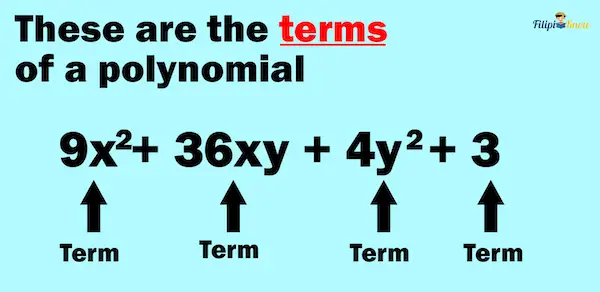 polynomials 3