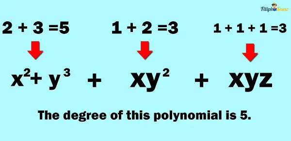 polynomials 5