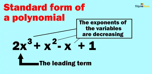 polynomials 6