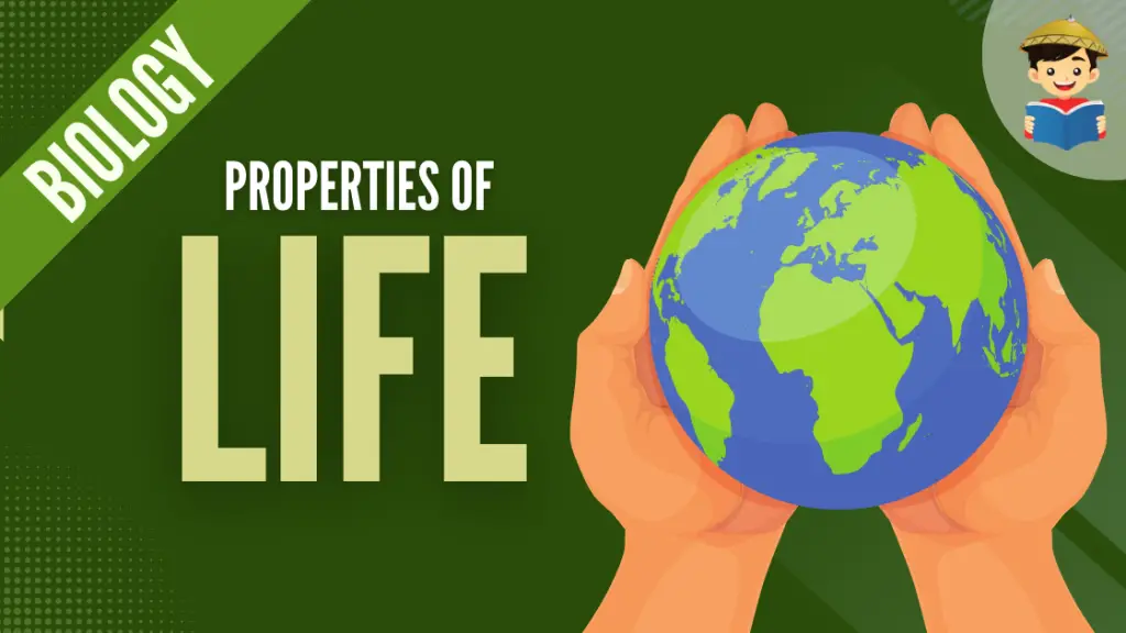 Properties of Life