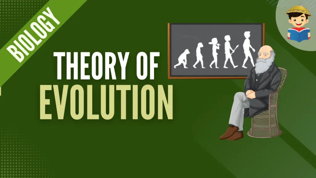 theory of evolution featured image