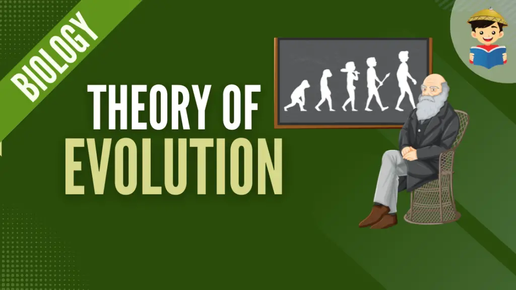 The Theory of Evolution