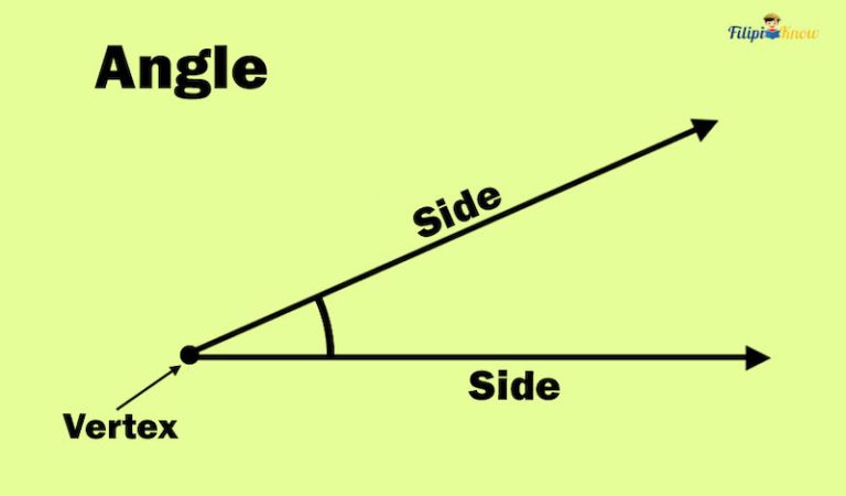 Basic Geometry Concepts: Undefined Terms, Definitions, Postulates, and ...