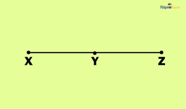 Yz Line Math Basic Geometry Concepts: Undefined Terms, Definitions, Postulates, and ...