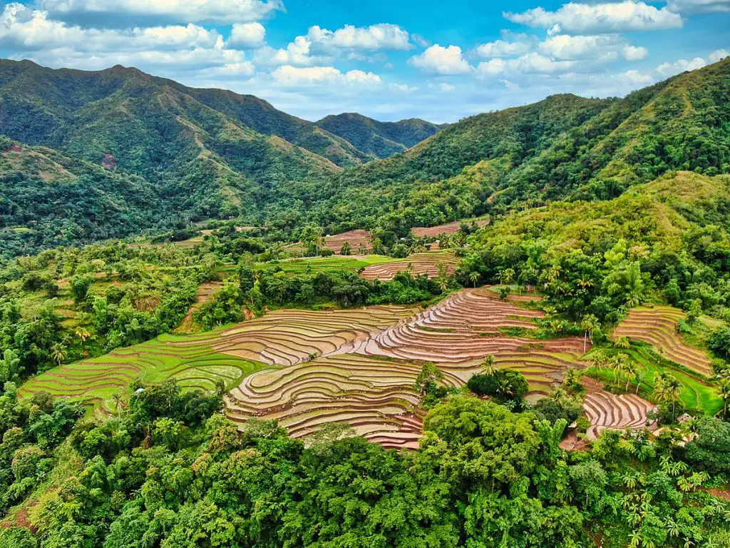 rice terraces in tibiao antique province