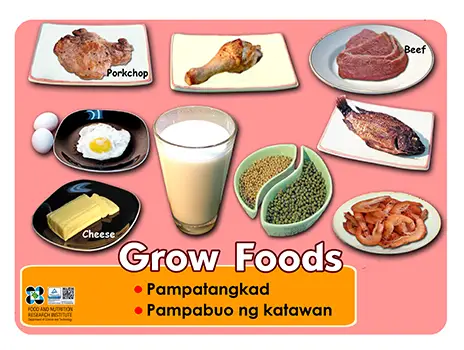 Go Grow Glow Foods Chart Pdf - Infoupdate.org