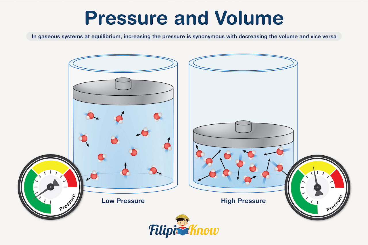 Reversible Reactions And Chemical Equilibria - FilipiKnow