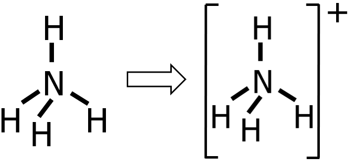 lewis structure of the ammonium ion enclosed in a square bracket