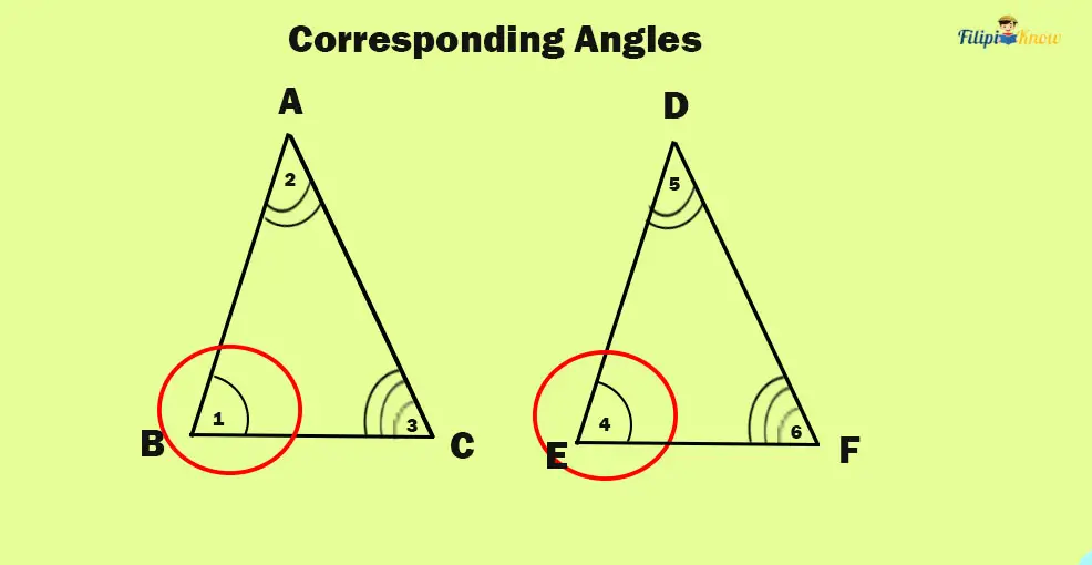 triangles 5