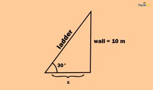 Trigonometric Functions Examples With Solution - FilipiKnow