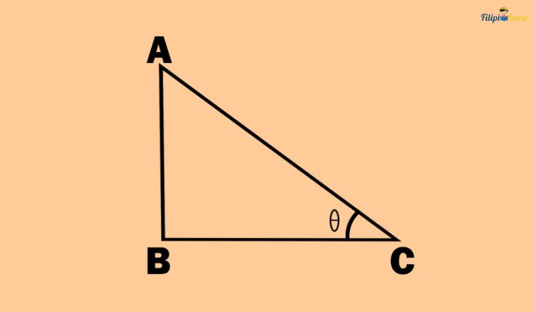 Trigonometric Functions Examples With Solution - FilipiKnow