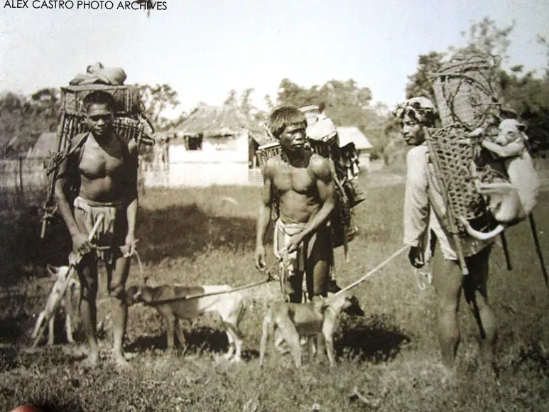 dog-eating igorots at the 1904 st. louis world's fair