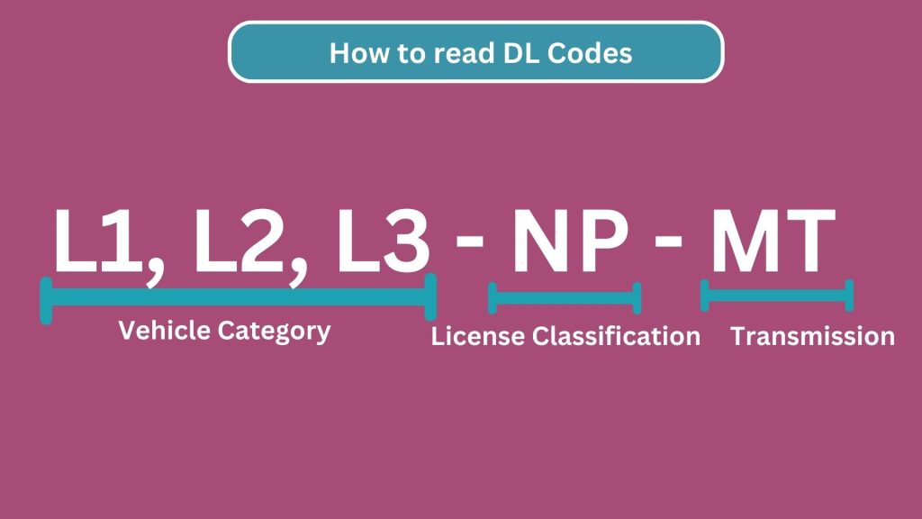 how to read lto drivers license codes